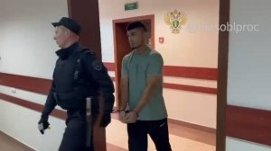 Арестован мигрант, напавший на полицейского в подмосковном Щелкове