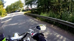 Борзеющий первосезонник