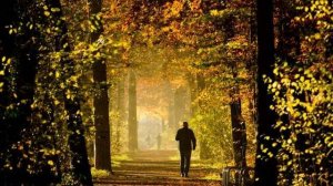 Осень, не оставляй меня (Памяти Михаила Круга)