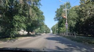 Везем кошку Марусю в Кошкин дом