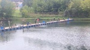 Форель с переходного