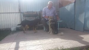 Как положено друзьям.