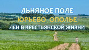 Льняное поле в Юрьевом Ополье: лен и история, значение льна в жизни крестьян