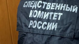 Бастрыкин затребовал доклад по делу о нападении мужчины на девочку в Москве