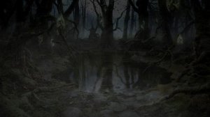 12 - Swamps of the mysterious forest