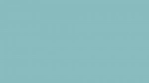 ёжик и телевизор