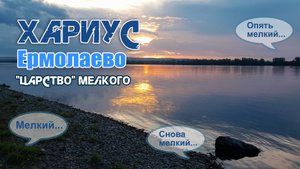 Хариус. Ермолаево - "царство" мелкого. Из дневника рыбака - 2024.