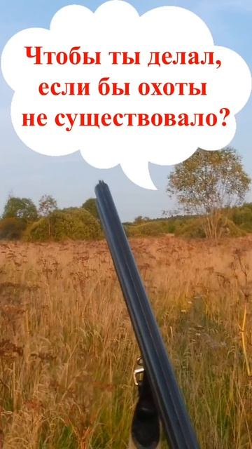 Чтобы Вы делали без охоты? #мужскаякаморка #охота #shorts смотреть онлайн