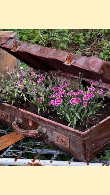 Цветочные композиции в чемоданах и сундуках🌺 смотреть онлайн