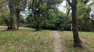 Путь к морю |  Сочи | Голубая Дача