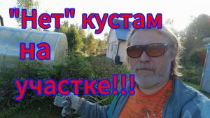 Объявил войну зарослям кустов!