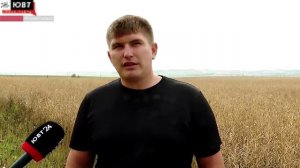 В Альметьевском районе проходит уборка ярового рапса