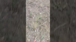 Как я виду себя на улице