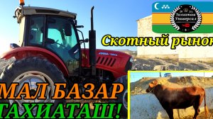 04-09-2025 СКОТНЫЙ РЫНОК -МАЛ БАЗАР 🐄