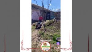 огородникам посвящается