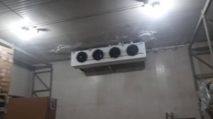 Склад отмороженого