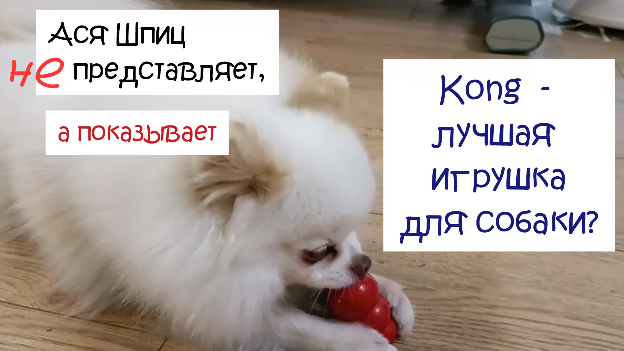 Конг для собаки. Как занять собаку смотреть онлайн