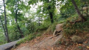 Тропа здоровья и пляж Заря в Сочи #Сочи #ПляжЗаря #Терренкур #ТропаЗдоровья