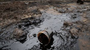 В Мурманске введен режим повышенной готовности из-за разлива нефти в заливе