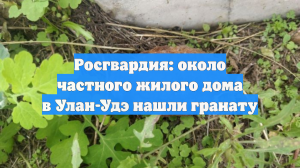 Росгвардия: около частного жилого дома в Улан-Удэ нашли гранату