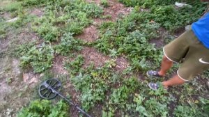 КАК ЗАРАБОТАТЬ С МЕТАЛЛОИСКАТЕЛЕМ MINELAB EQUINOX В 2025? НАШЛИ ЗОЛОТОЙ ПЕРСТЕНЬ В ОГОРОДЕ