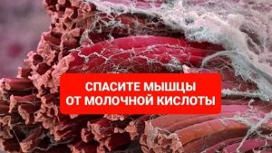 КАК НЕЙТРАЛИЗОВАТЬ МОЛОЧНУЮ КИСЛОТУ