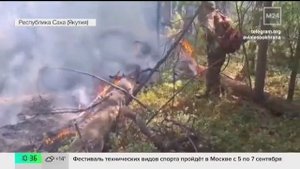 Москва 24 Лесные пожары в Якутии 03.09.2025