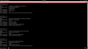 2. Meterpreter Basics
