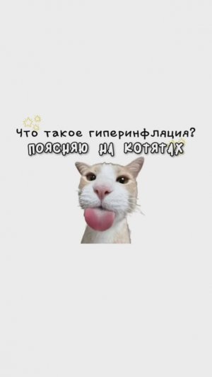 КОТЯТА ПОЯСНЯЮТ / Что такое ГиперИнфляция? / Как Развалилось МММ? / Почему Жизнь Парня Легче?