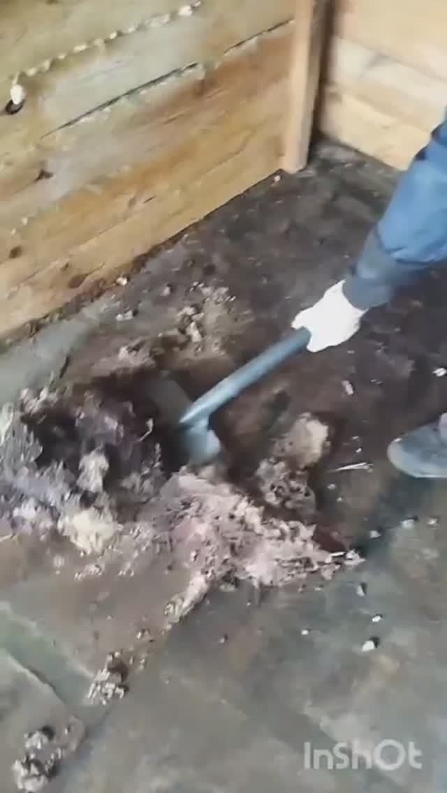 Свиней не стало, но свинарник в действии