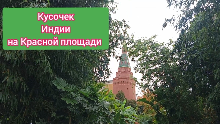 Джунгли возле Кремля