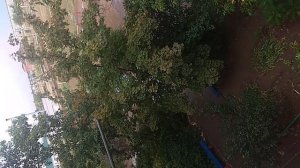 У нас был ливень и ночью и только что