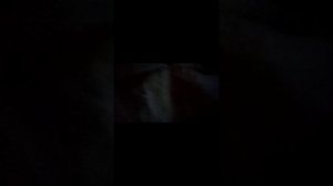 Следим за моей ОДНОКЛАССНИЦЕЙ которой я не ожидал встретить- 1 видео