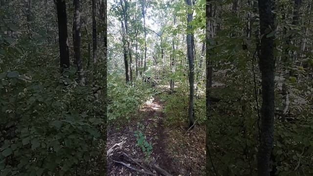 Покатушка 31.08.2025 смотреть онлайн