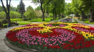 Москва – Кремль 🏰 Сердце столицы и место, где всё началось