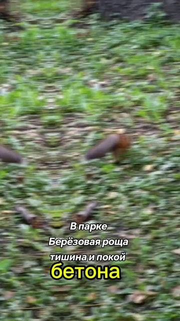 Размышления о природе вещей смотреть онлайн