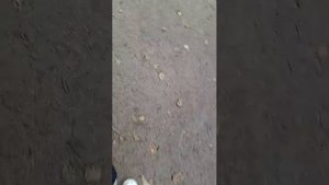 Ид со школы