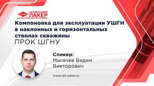Компоновка для эксплуатации УШГН в наклонных и горизонтальных стволах скважины - ПРОК ШГНУ