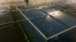 УЗВ для выращивания креветки Розенберг, Ваннамей.