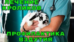 Профилактика вздутия, сравнение препаратов, эксперимент.