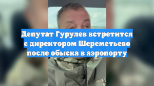 Депутат Гурулев встретится с директором Шереметьево после обыска в аэропорту