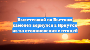 Вылетевший во Вьетнам самолет вернулся в Иркутск из-за столкновения с птицей