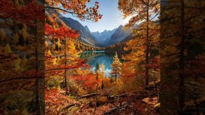 video_2025-09-03_20-11-48