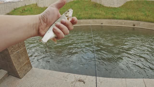 Мормышинг в историческом центре Томска.