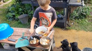 Накормил всех щенят