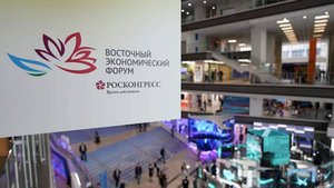 Сокола за $20 тыс. показали на ВЭФ-2025