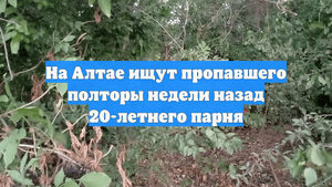 На Алтае ищут пропавшего полторы недели назад 20-летнего парня