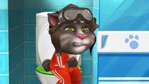 Мой говорящий Том