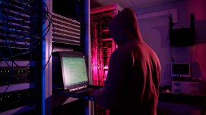 МВД: мошенники стали чаще использовать домены, похожие на госресурсы