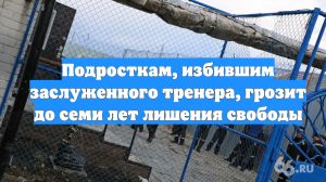 Подросткам, избившим заслуженного тренера, грозит до семи лет лишения свободы